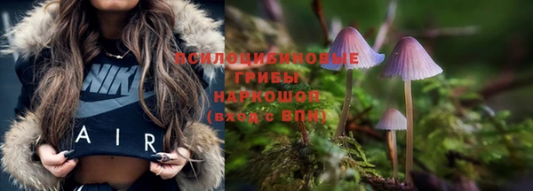 эйфоретик Абаза