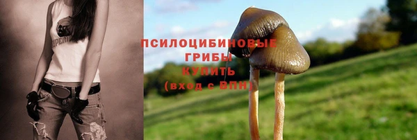 эйфоретик Абаза